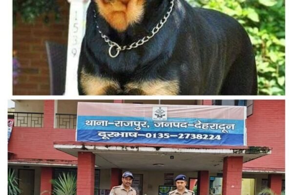 राजपुर में बुजुर्ग महिला पर खतरनाक नस्ल के कुत्तों का हमला, मालिक हिरासत में — बिना लाइसेंस कुत्ते पालने वालों पर अब सख्त कार्रवाई