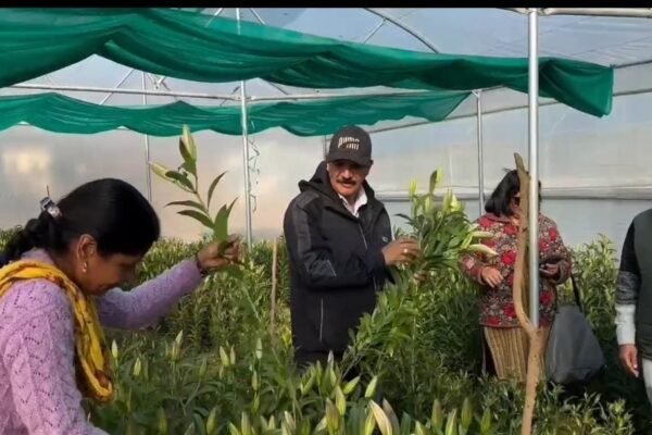 आत्मनिर्भर उत्तराखण्ड का सपना हो रहा साकार,पौड़ी की मातृशक्ति ने लिलियम की खुशबू से गढ़ी नई पहचान- सीएम धामी